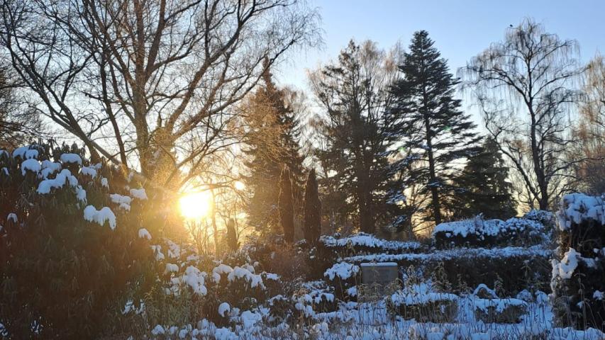 Winterstimmung auf dem Friedhof