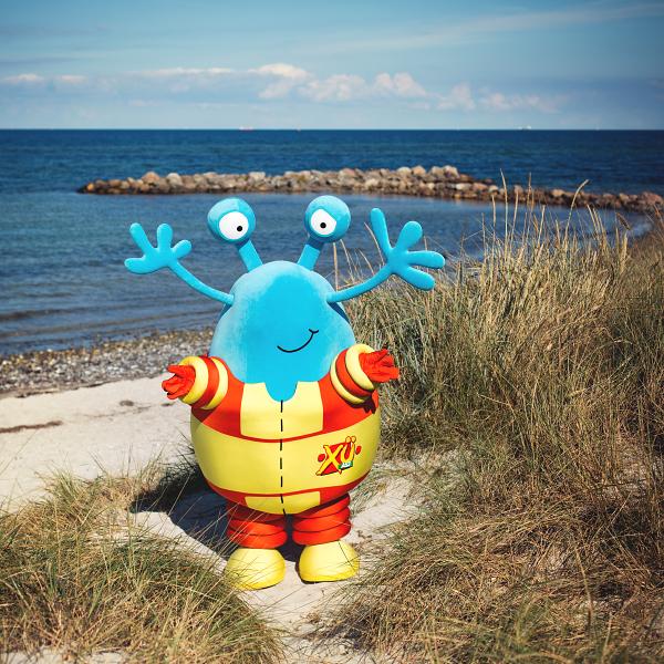 Die ASJ in Schleswig-Holstein